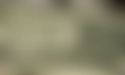 Bolsa bate recorde e supera os 191 mil pontos com capital externo