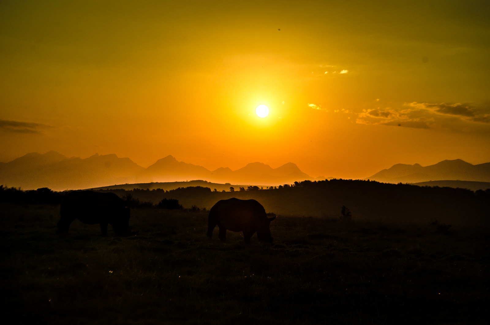 African Sunset