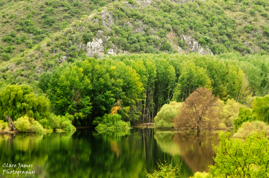 Wilderness