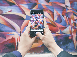 Capturing Art