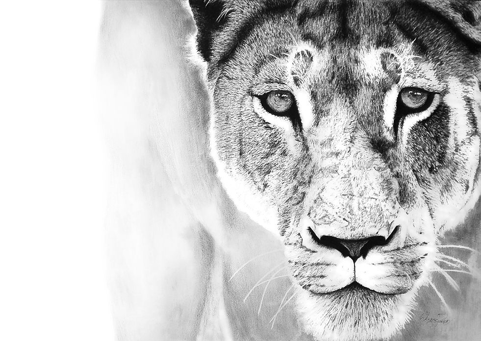 LIONESS.jpg