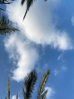 تصوير الطالبة زينب