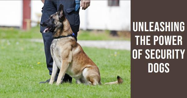 The Role of Security Dogs in Modern Safety Services: Benefits and Training