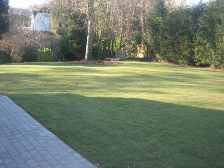 Navigating Building Contractors: Enhancing Your Project with Quality Landscape Services