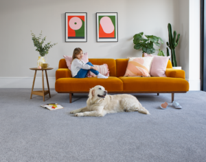 The Benefits of Shopping Locally for Carpets in Plymouth