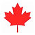 Maple Leaf.jpeg
