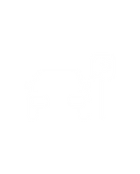 Parkings Vision Sécurité