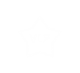 Sécurité événementielle Vision Sécurité