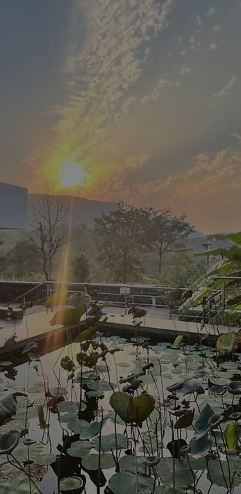 Ashram with evening sun.jpg