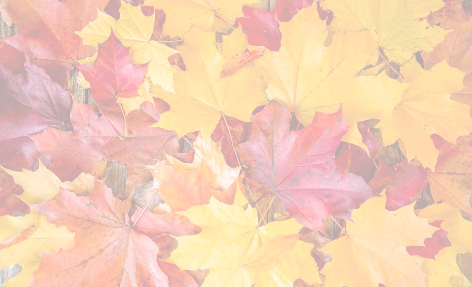 30-gruende-warum-wir-den-herbst-so-lieben-buntes-laub_edited.png