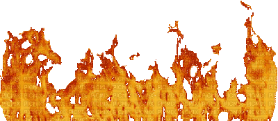 1323051_513fc.gif