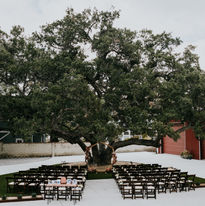 annacolewedding-5.jpeg