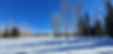 20220120_135226.jpg