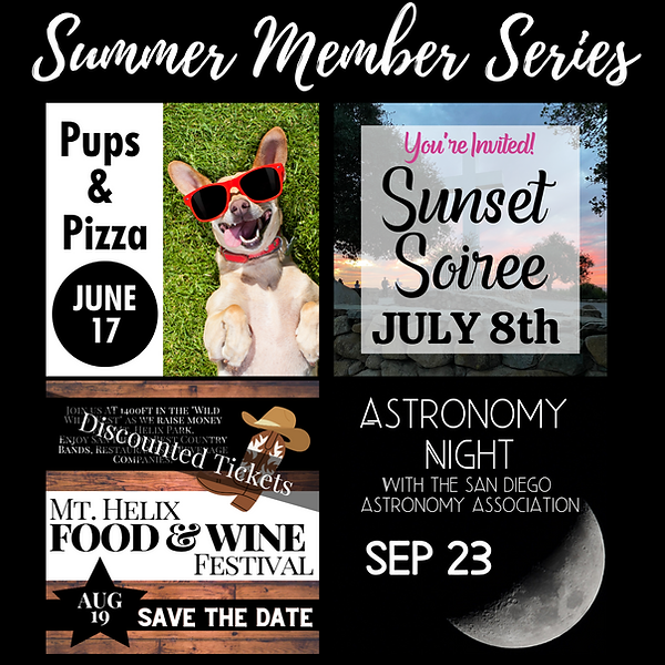 Summer Member Series Instagram.png