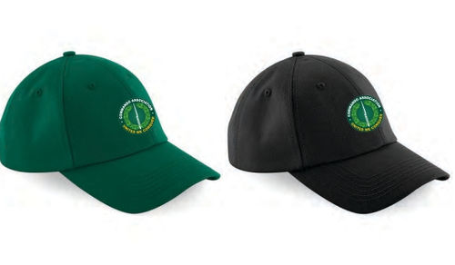 1 CA BASEBALL CAP.jpg