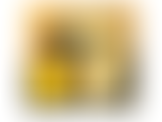 Primrose B2 a beautiful collapsible and reversible box