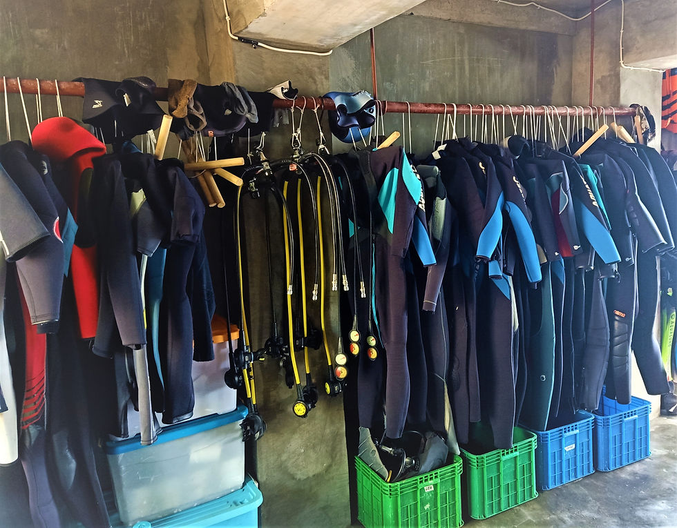 Wet Suits