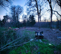Clearing the Land