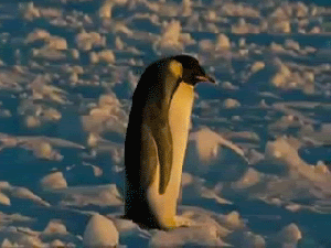 penguinfail