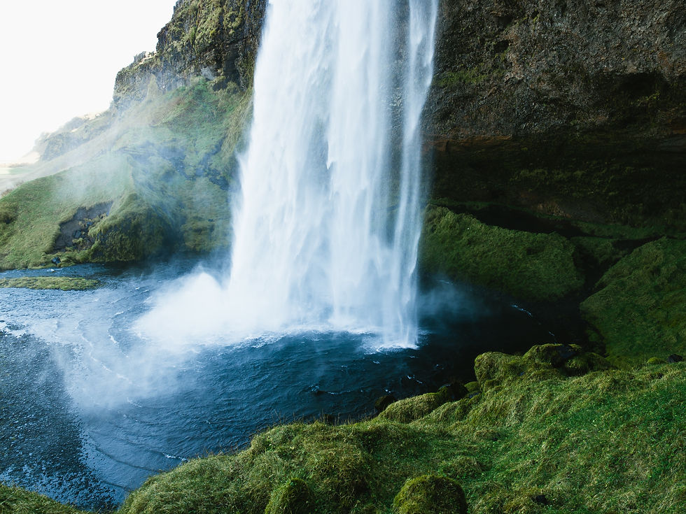 public-domain-images-free-stock-photos-high-quality-resolution-downloads-public-domain-archive-16