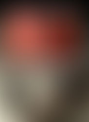 Mesterlig fortælling om Berlin 1944 – intenst og velskrevet