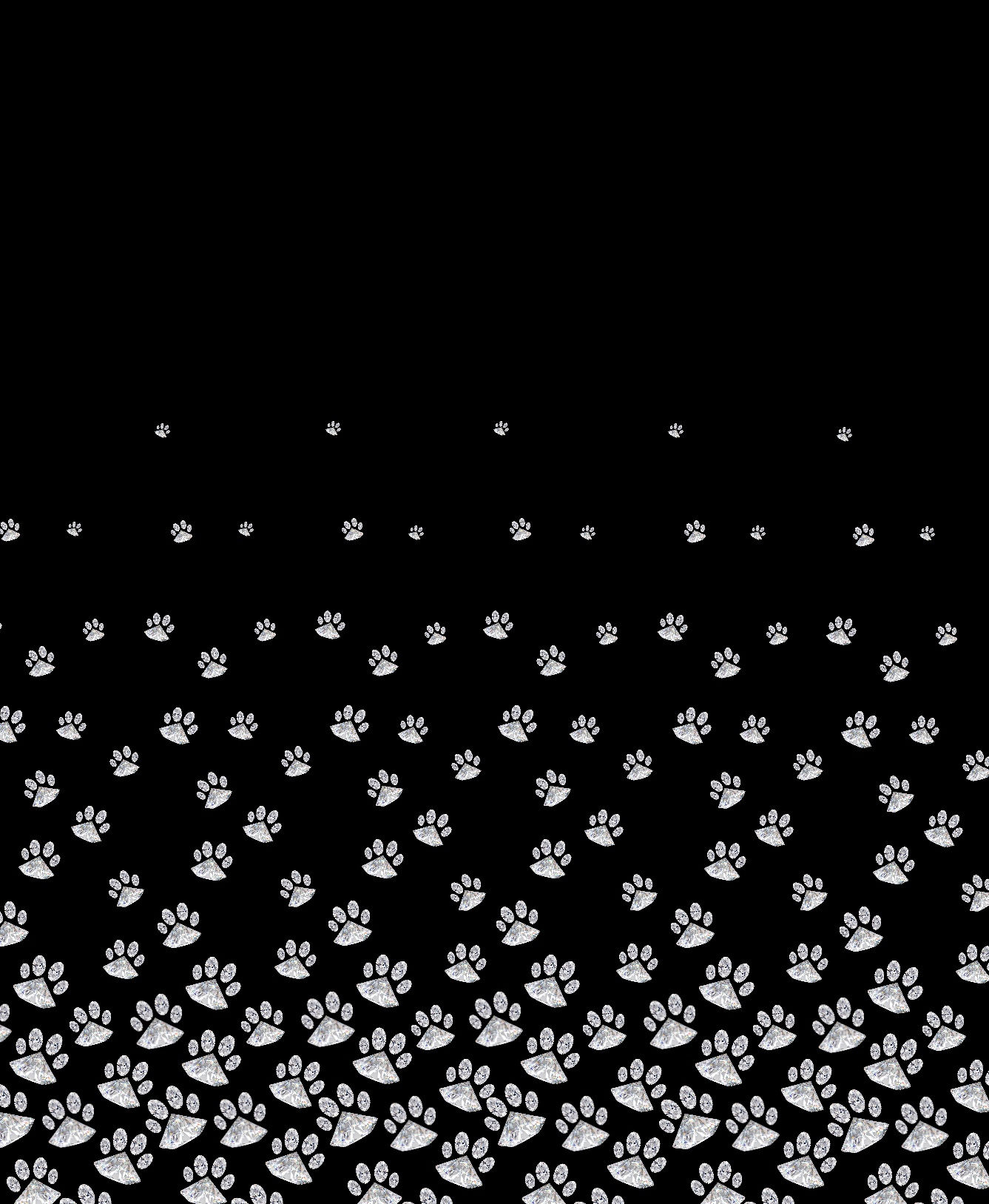 Home The Rich Groomer Sacramento