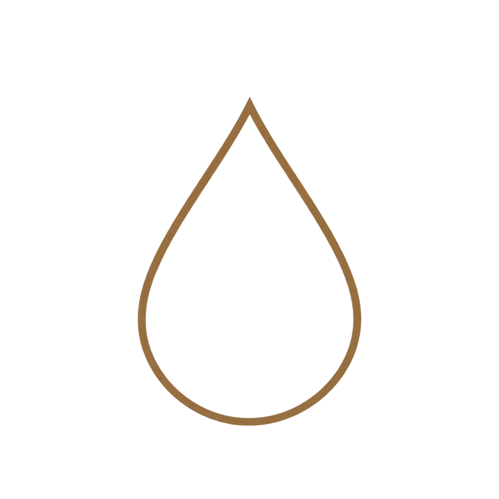 image2 (1).png
