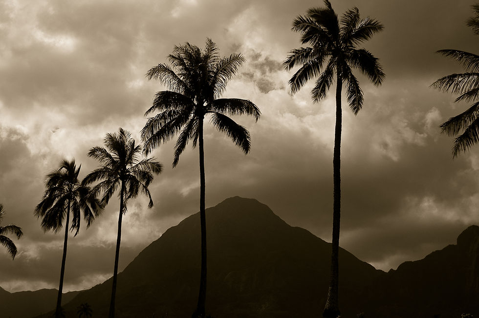 Hawaii Skies