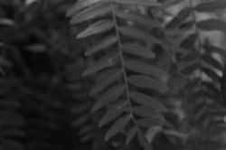 IMG_0507