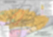 Bedrock map of Boston Basin.jpg