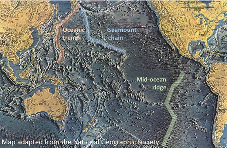 Bottom of Pacific Ocean.jpg