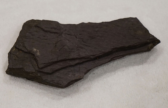 Brookline Member Mudstone--1s.jpg