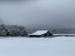 IMG_4216.jpeg