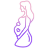 gravida.png