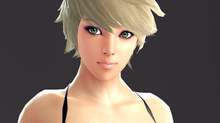 Vindictus Fashion : Evening Arisha