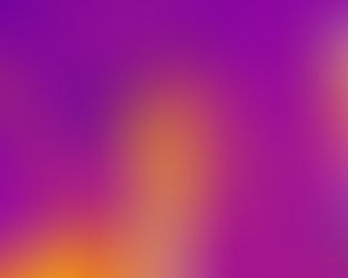 Electric Distribution System