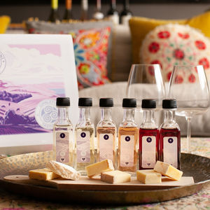 Taste of the Vine Cheese and Wine Tasting