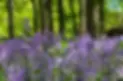 1379708.webp