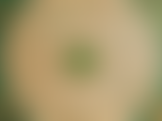 Unlock Your Destiny with Vedic Astrology Readings Online