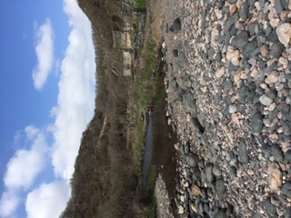 The river at Carleon Cove
