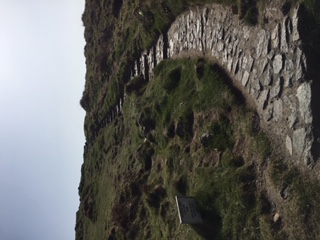 Cobbled path leading away from Kynance