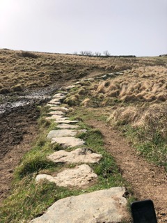 Stepping stones on the coast path