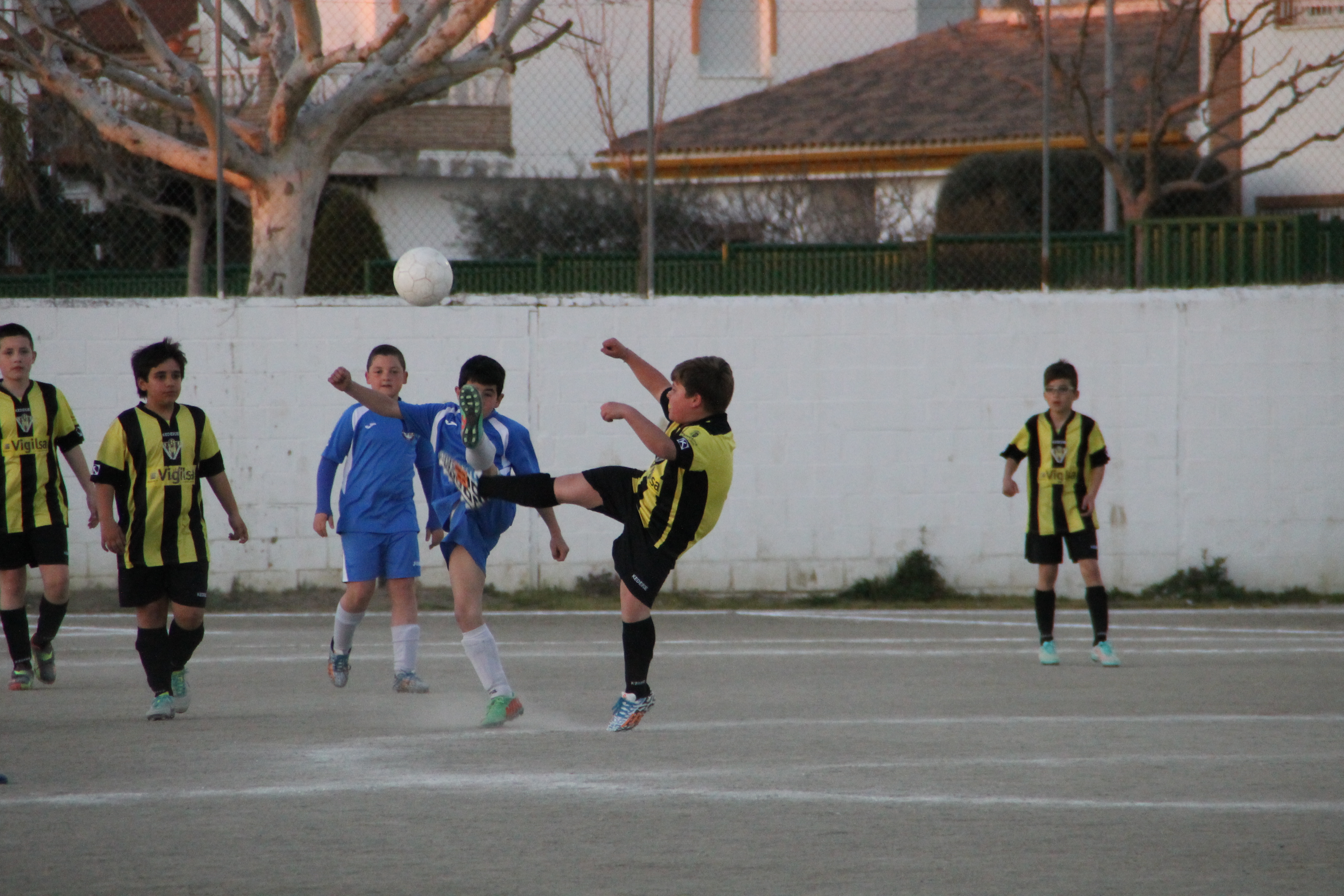IMG_6551.JPG