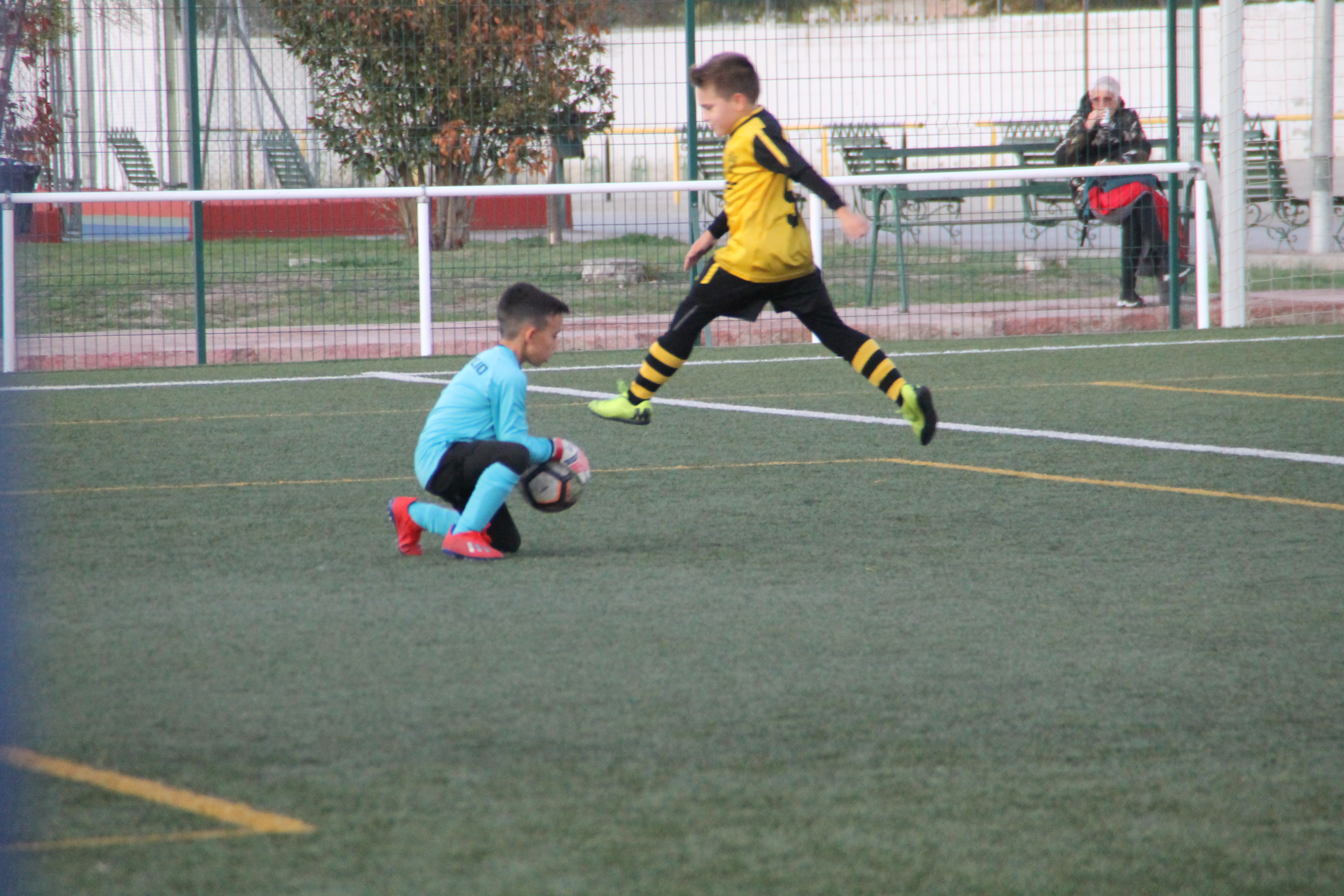 PREBENJAMIN