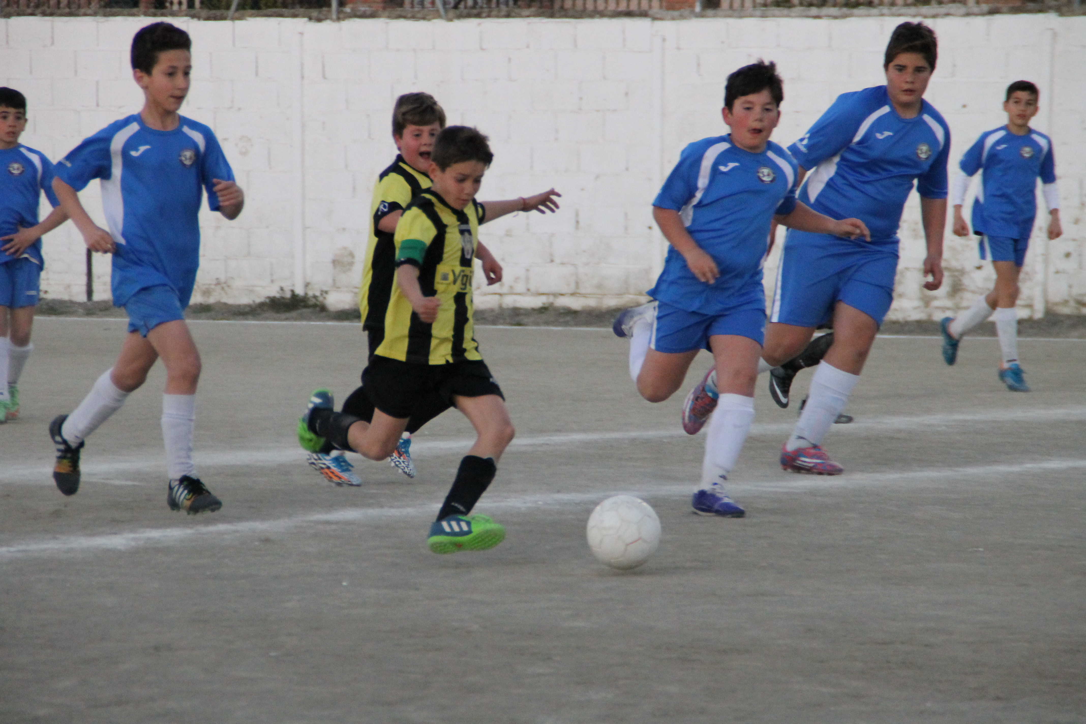 IMG_6567.JPG