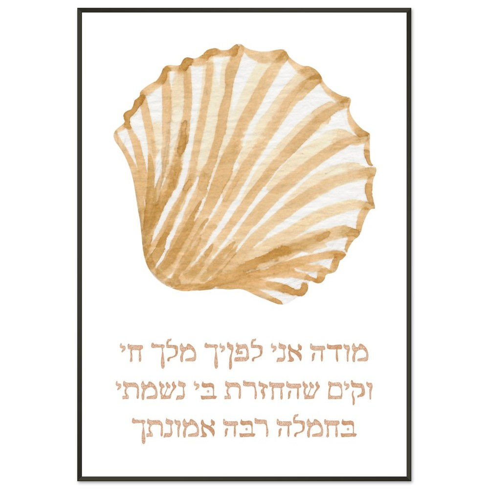 Modeani Sea Shell Metal Framed Poster