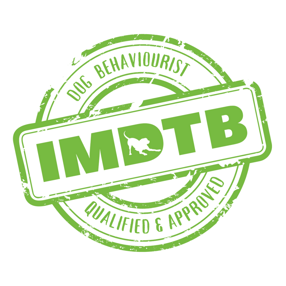 Accreditation for IMDT Behaviourist