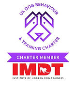 imdt charter logo