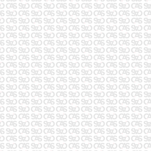 13.png