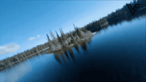 gif.gif